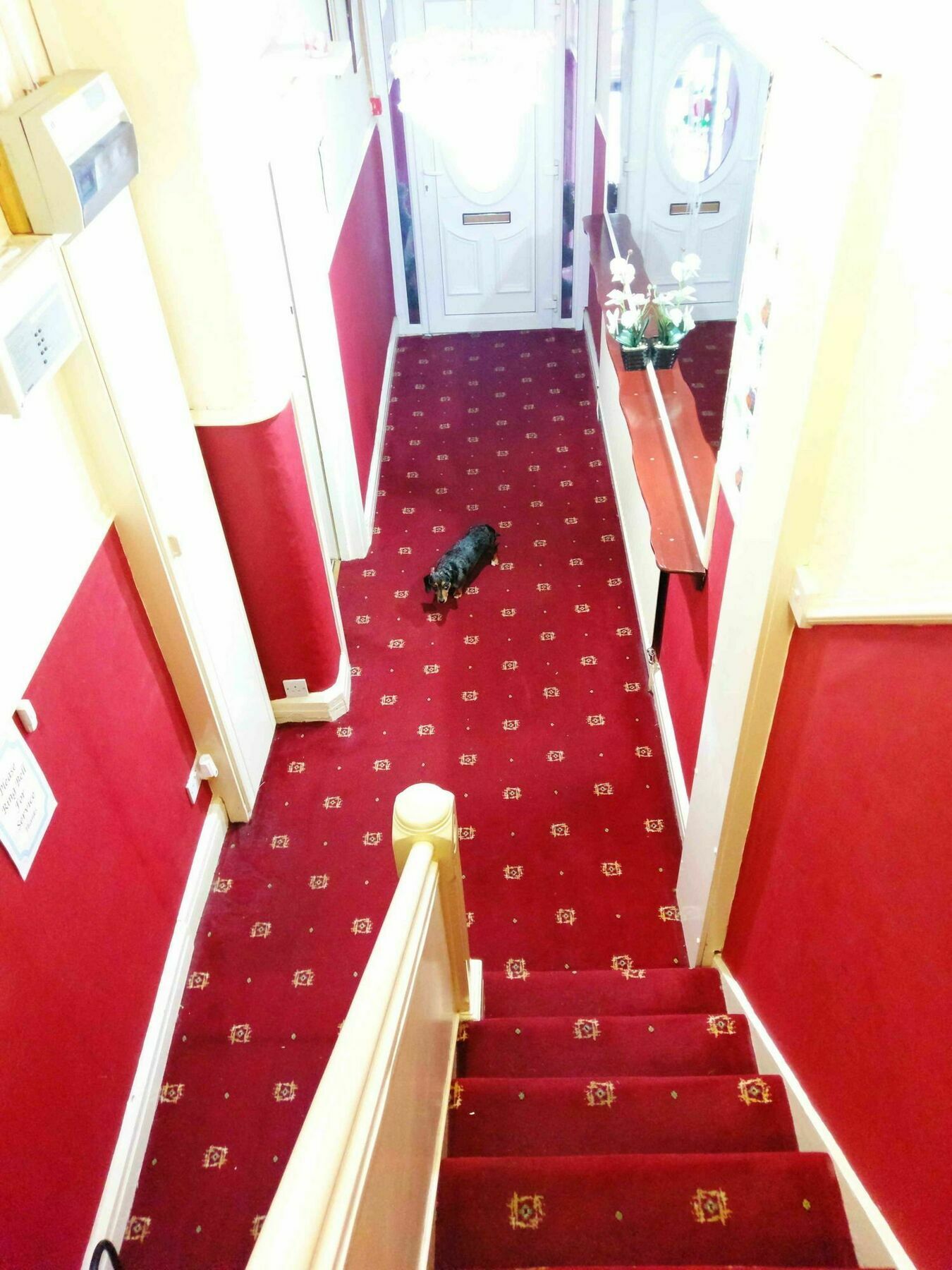 Ringbane House Bed & Breakfast แบล็คพูล ภายนอก รูปภาพ